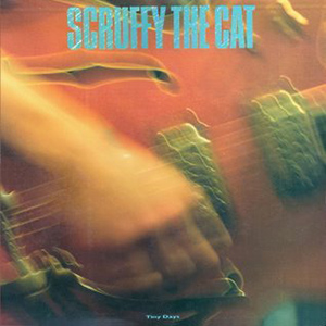Scruffy the Cat - Tiny Days