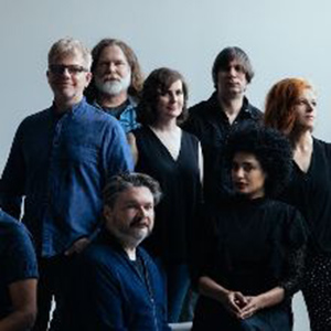 The New Pornographers