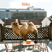 Wilco The Album Cover