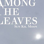 Sun Kil Moon - Among the Leaves