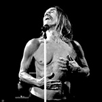 Iggy Pop