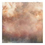 Polars - Native Carbon Bloom