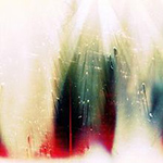 The War On Drugs - Future Weather - December 10
