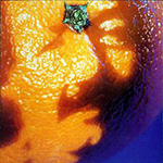 Phish - A Picture of Nectar